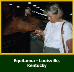 Equine Expos - Caspians are Always a Hit!