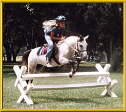 Kristull Caspian Ranch Caspian Horse Academy