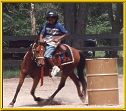 Texana Farms Caspian Horse Academy